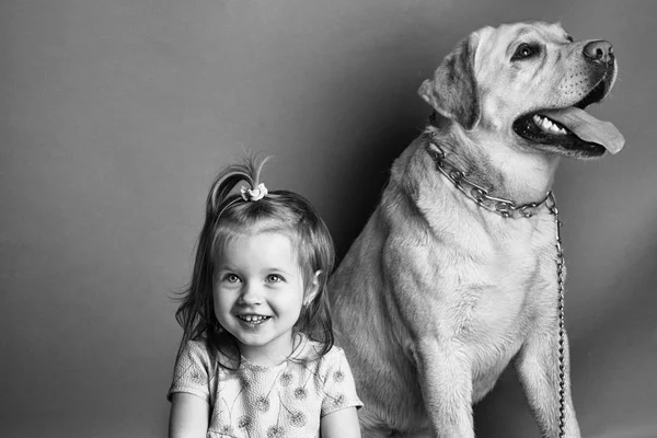 Melhor amigo cão. menina com cão labrador — Fotografia de Stock