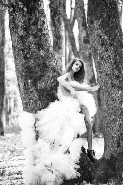 Wedding Dresses. Beautiful young woman in pink glamour dress with long curly hair sitting on tree in forest