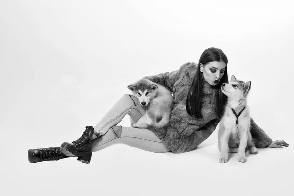 Animal breeding. pretty sexy girl with husky dog — Stock Photo, Image