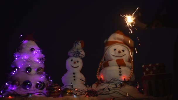 Merry Christmas with Happy Snowmen. Happy New Year with Snowman. Snowmans happy couple. Snowmans celebration — Stock Video