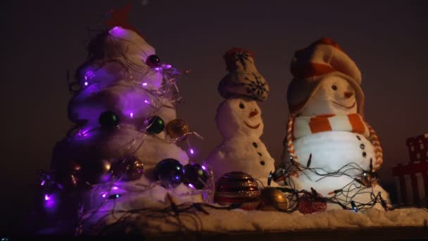 Feliz Navidad con muñecos de nieve felices. Feliz Año Nuevo con muñeco de nieve. Snowmans feliz pareja. Fiesta de muñecos de nieve — Vídeos de Stock