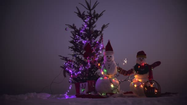 Décoration de Noël - bonhomme de neige avec branche de sapin avec lumières colorées — Video