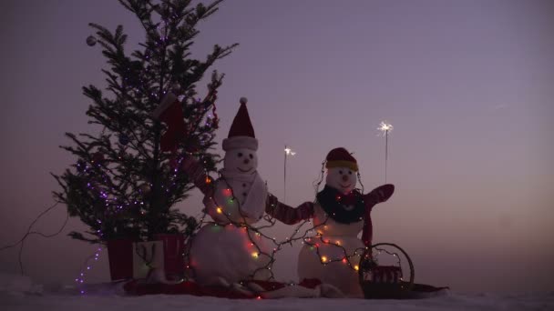 Feliz Ano Novo com o Boneco de Neve. Bonecos de neve casal feliz. Bonecos de neve celebração — Vídeo de Stock