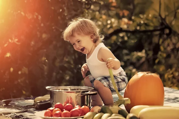 A criança prepara-se para comer. Rapaz sorridente no piquenique — Fotografia de Stock