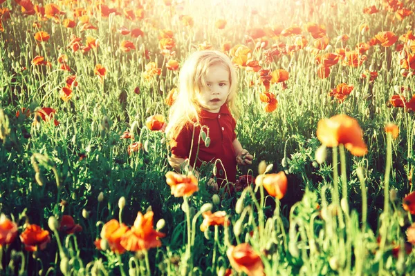 Щасливе дитинство. поле квітки з дитиною або маленьким хлопчиком — стокове фото