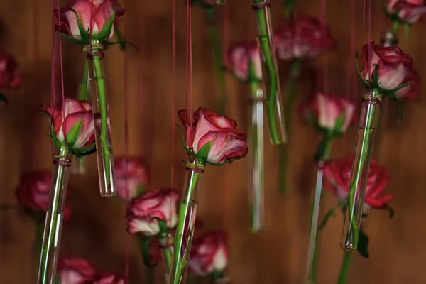 Röda rosor. Blomma i tube glasvaser, blommig inredning, våren — Stockfoto