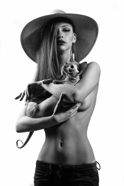 Donna sexy con sfinge gatto — Foto Stock