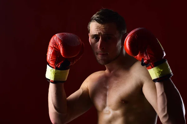 Entraînement de boxeur en gants de boxe. boxeur. boxeur homme avec corps musclé en forme. boxeur confiant poinçonnage à l'entraînement sportif. boxe homme . — Photo