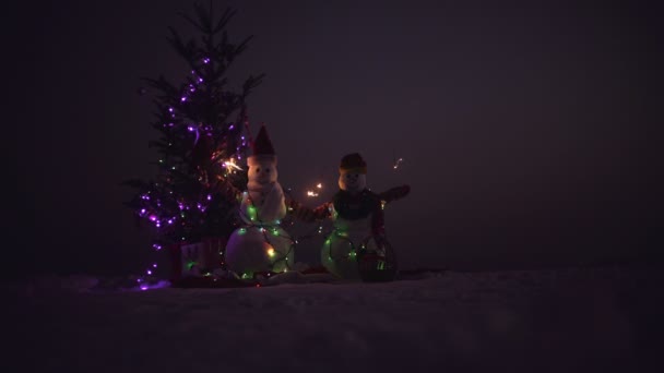 Décoration de Noël - bonhomme de neige avec branche de sapin avec lumières colorées — Video