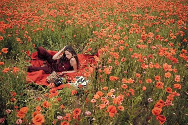 Copywriting. Gazetecilik ve yazma, yaz.