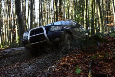 Jip ya da spor yeni araç engellerin üstesinden gelir. Motor sonbahar orman Offroad yarış Sonbahar Doğa arka plan üzerinde yarış. Toplanma, rekabet ve dört tekerlekli sürücü kavramı