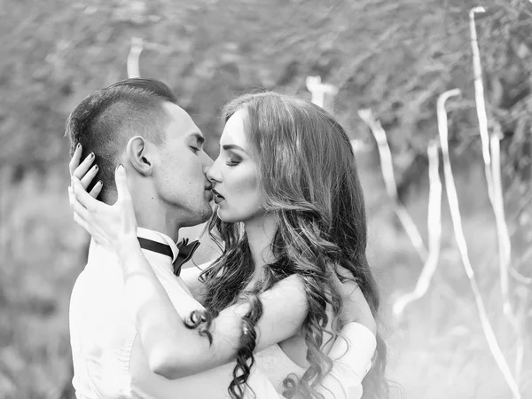 Casal apaixonado beijos. Beijar casal de casamento — Fotografia de Stock