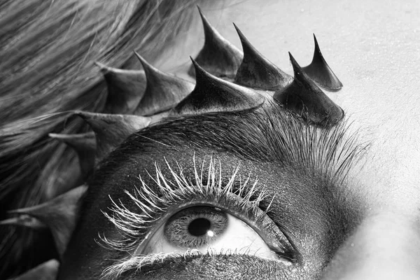 Fairytale make-up. Female eye with thorns — Stock Photo, Image