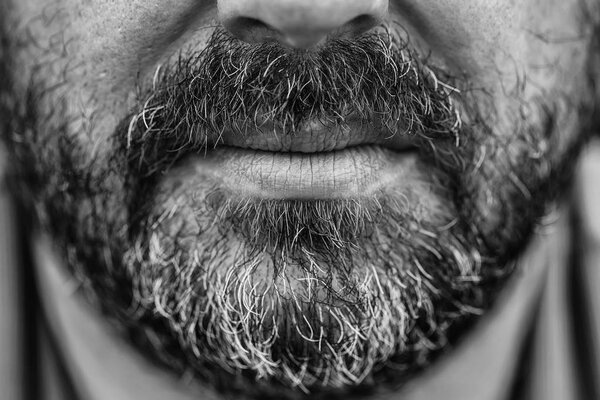 Graying beard and moustache