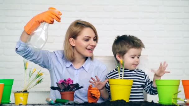 Konzept der Familienfreizeit. Mutter und Sohn gießen Blumen, die in Töpfen wachsen. Sommerblumen. — Stockvideo