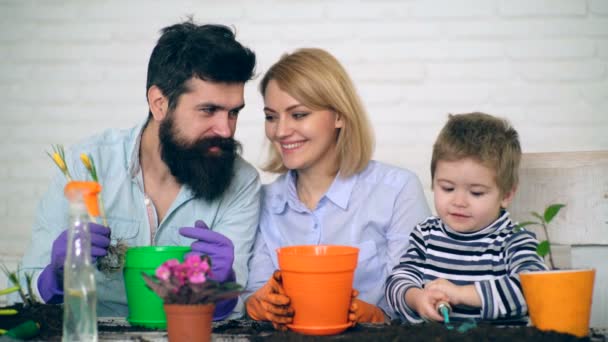 Glückliche und lächelnde Eltern sehen, wie ihr Sohn ihnen hilft, Blumen in farbige Töpfe zu pflanzen. Konzept der Landwirtschaft. — Stockvideo