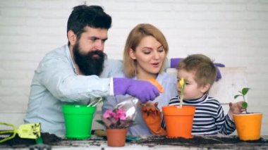 Baba sadece oğlu ve annesi tarafından dikilmiş çiçekler dökülen. Çiçek dikim kavramı.