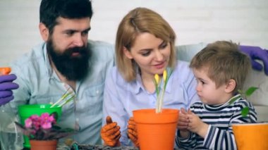 Annem ve babam onların oğlu tencerelerde çiçek bitki nasıl öğretmek. Çiçek dikim kavramı.