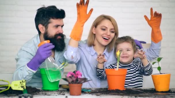 Concept van tuinieren. De familie in spel vormen aanplant en drenken bloemen. Een kleine jongen en zijn ouders water bloemen. — Stockvideo