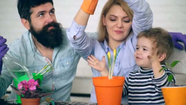 De jongen klapt in zijn palm en verheugt zich over het feit dat hij en zijn ouders bloemen in gekleurde potten geplant. Concept van zaailingen. — Stockvideo