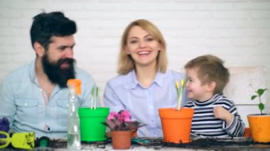 Aile çiçekler tencerelerde Ekimden sonra eğleniyor. Vatan şarkı ve bitki çiçek tencerelerde şarkı söylüyor.