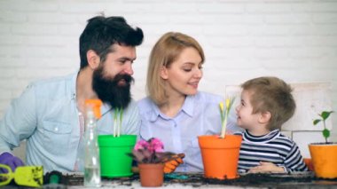 Aile iletişim kurar ve tencere çiçek bitki. Bahçe kavramı. Çiçek dikim.