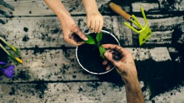 Üç el çiçekleri yakın çekim yaprak tutun. Bahçe kavramı.