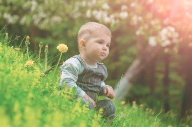 Çocuk Parkı karahindiba çiçek açması ile çiçekler ve ağaçlar