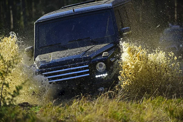 Estremo, sfida e 4x4 concetto di veicolo. Auto da corsa nella foresta autunnale. Offroad gara su sfondo natura autunno. SUV o fuoristrada sul sentiero coperto di erba attraversando pozzanghera con spruzzi d'acqua — Foto Stock