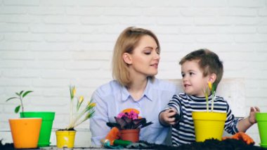 Fidan kavramı. Anne ve oğlu bitki çiçek renkli tencere. Küçük bir çocuk anne çiçek bitki yardımcı olur..