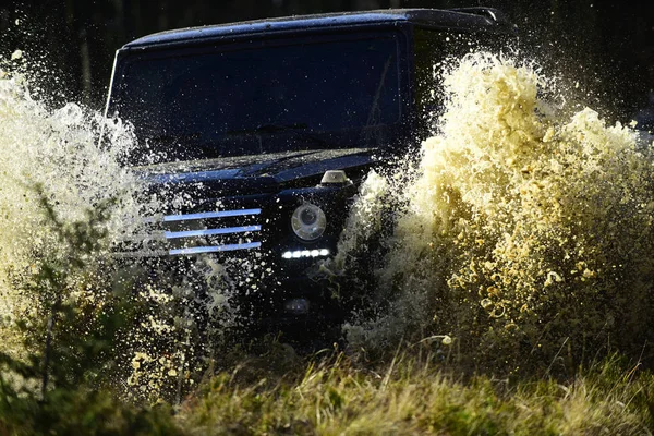 Bilspel i höst skog. SUV eller offroad bil på bana täckt med gräs passerar pöl med vattenstänk. Extrem, utmaning och 4 x 4 fordon konceptet. Offroad race på hösten natur bakgrund — Stockfoto