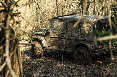 SUV yapraklarla kaplı yolda çamur kaplı