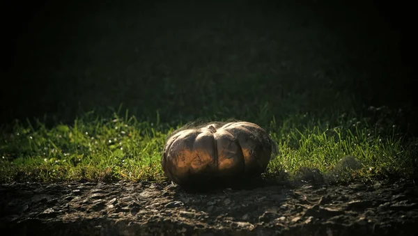 halloween autumn harvest and holiday food.