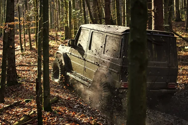 Sujo offroad carro com queda floresta no fundo — Fotografia de Stock