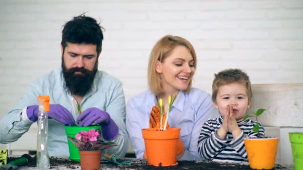 Anne ve oğlu avucunda alkış ve babası bitki çiçek tencere kadar şarkılar. Ailenle iyi eğlenceler. — Stok video