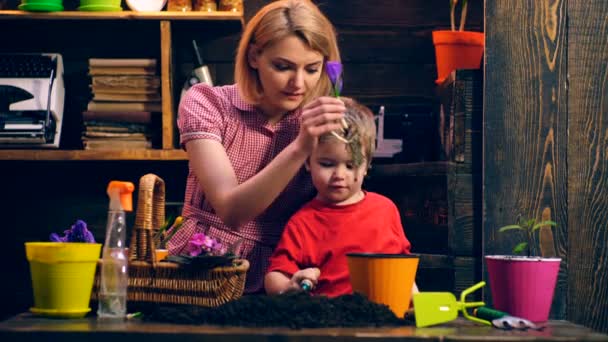 Mamma och son plantera blommor i krukor. En liten pojke hjälper mamma att plantera blommor. Begreppet Trädgårdsskötsel. — Stockvideo