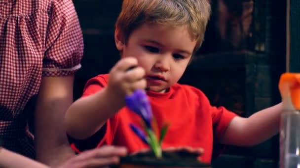 Pojken häller lera i krukor med sina händer och planta blommor. Begreppet plantera blommor. — Stockvideo