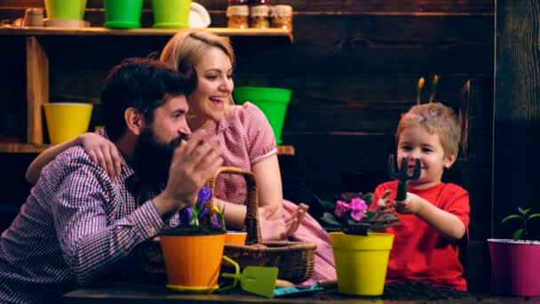 A família está se divertindo plantando flores em vasos coloridos. Um menino com uma omoplata e ancinho ajuda os pais a plantar flores em vasos. O conceito de jardinagem . — Vídeo de Stock