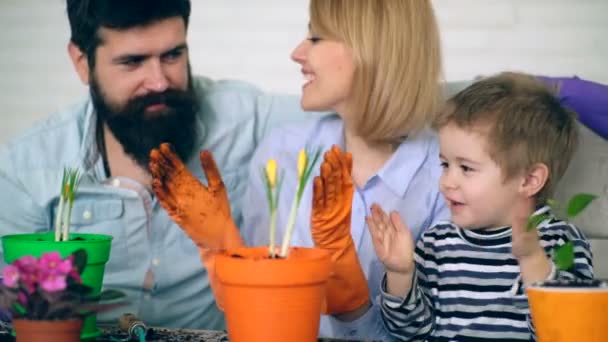 Concept de jardinage. La famille plante et arrose les fleurs au printemps. Père, mère et fils applaudissent dans la paume et chantent des chansons après avoir planté des fleurs dans un pot en été . — Video