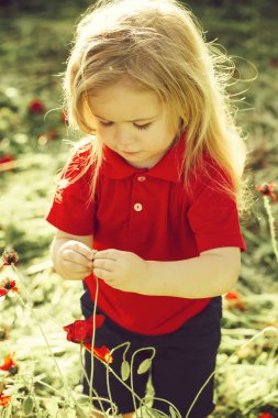 küçük çocuk veya çocuk alanında haşhaş tohumu
