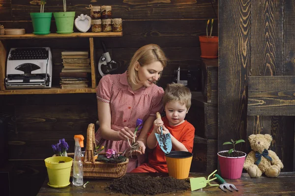 ケアのコンセプトです。小さな子供は、植物の世話をする母を助けます。母と息子は、ケアと花を植えます。植物の世話。愛の種を収集します。 — ストック写真