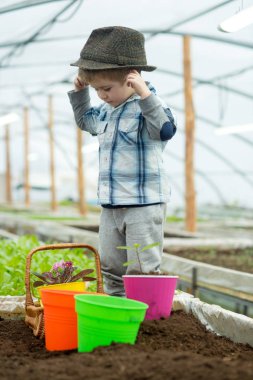 küçük çiftçi çocuk. serada çalışan küçük çiftçi çocuk. moda şapkalı küçük çiftçi çocuk. küçük çiftçi çocuk ile Bahçe çalışın. kar içine dönüm bitkiler.