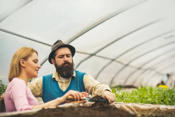 Experte für Gewächshäuser. Paar von Experten in Gewächshäusern. Experte, der im Gewächshaus arbeitet. Experte der Treibhausindustrie. Ich habe den besten Job der Welt. — Stockfoto