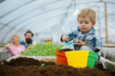 jeodezik kubbe. Modern jeodezik kubbe gelecekte Bahçe. yeni teknoloji jeodezik kubbe. jeodezik kubbe sera büyüyen bitkiler için. yeni yeşil yaşam.