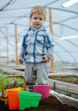 Çocuk bir çiftlikte. bir çiftlikte kendine güvenen bahçıvan çocuk. küçük çocuk sera, örneğin bir çiftlikte. alt ağaçlar çiftliğinde çalışmak.