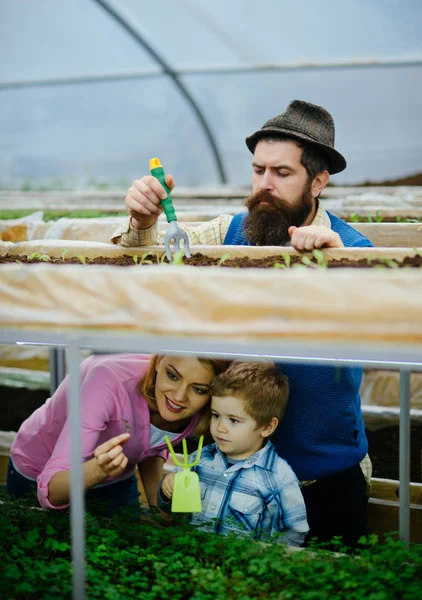 레트로 농장입니다. 행복 한 가족으로 레트로 농장입니다. 복고풍 농장에서 정원사 가족 작품입니다. 다채로운 도구로 레트로 농장입니다. 자신감이 정원사. — 스톡 사진