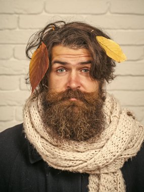 Tuğla duvar Güz, uzun sakallı adam.