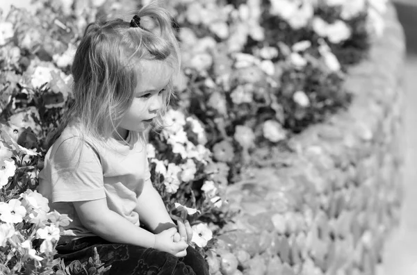 Niedlicher kleiner Junge spielt im Blumenbeet mit blühenden Blumen — Stockfoto