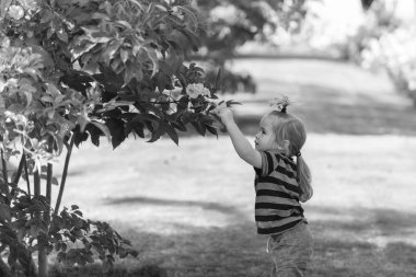 Şirin bebek çocuk çalıların üzerinden sarı çiçek çiçek