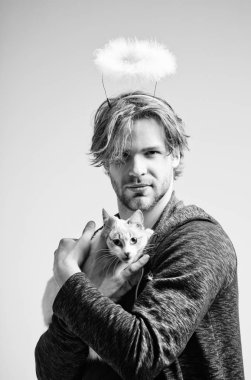 kedi ve adam melek hale üstünde kafa tutan kedi